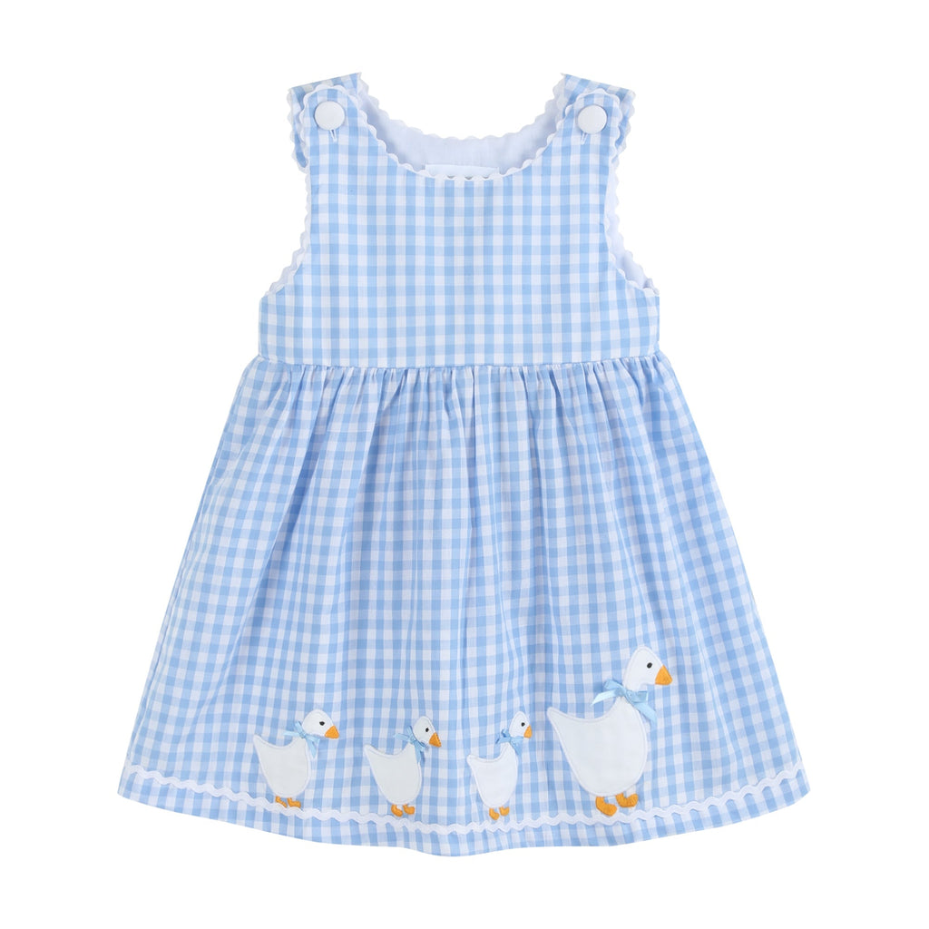 Blue Gingham Goose A Line Dress - Lil Cactus